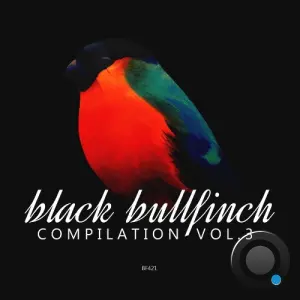 Black Bullfinch Compilation, Vol. 3 (2026)
