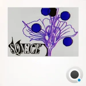 SQ Mice - SQ Mice (2026)