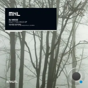 DJ Meoz - Hazy Feelings (2026)