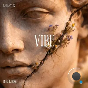 Black Box (DE) - Vibe (2026)
