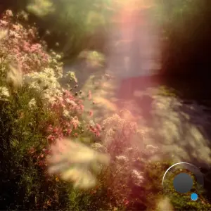 Alex Sunbelt & Zaalm - Think About (2026)