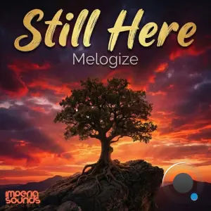 Melogize - Still Here (2026)