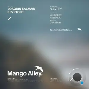 Joaquín Salmain - Levity (2026)