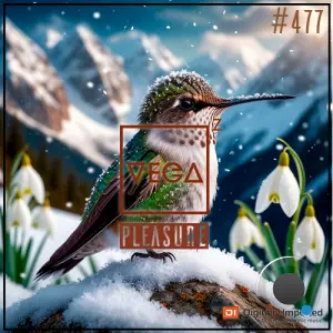 Vega Z - Pleasure 477 (2026-04-01)