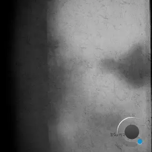 Antonio Fevola - Buoni Consigli (2026)