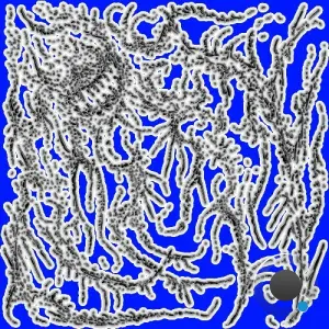 Casual Observer - Observations (2026)