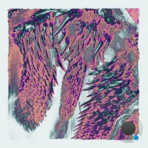 Throwing Snow - Canines (2026)