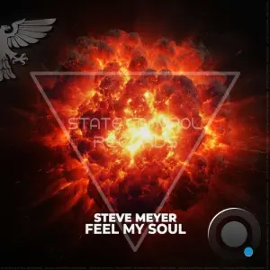 Steve Meyer - Feel My Soul (2026)
