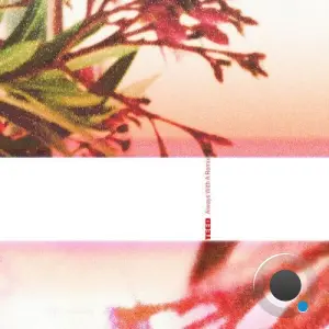 TEED - Always With A Remix (2026)