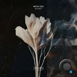 Mattia Terzi - Blunt (2026)