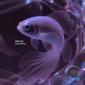 Anteac - Equernal (2026)