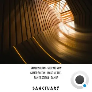 Samer Soltan - Stop Me Now (2026)