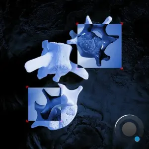 Assimilated - Totem Collapse (2026)