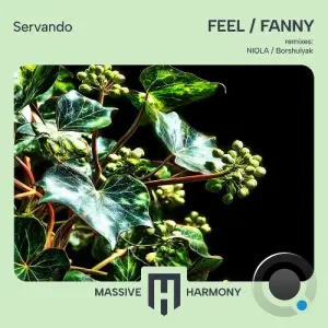 Servando - Feel / Fanny (2026)