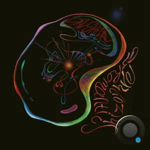 Das SPEZIAL - Romantic Schizophremic (Henrik Schwarz Remix) (2026)