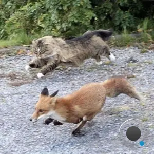 Devon Rexi, Devon Rexi meets John T. Gast - Breathstep (2026)