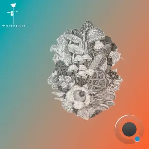 Boy From Suburbs - Call My Name (2026)