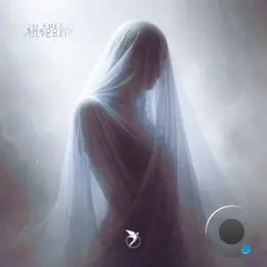 Polygraph, Tom Freeze - Shadows (2026)