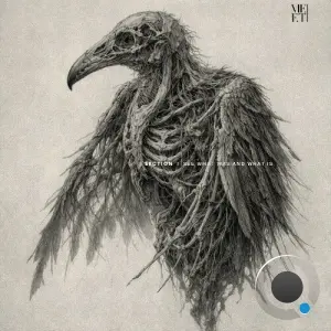 § Section - See What Was and What Is (2026)