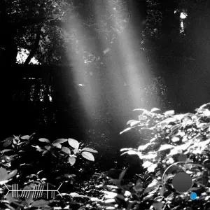 Lucas Silvero - Ein Sonnenstrahl (2026)