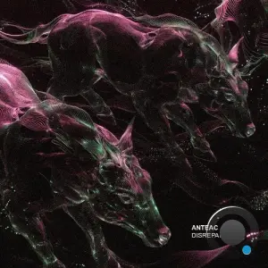 Anteac - Disrepair (2026)