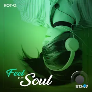 Feel The Soul 047 (2026)