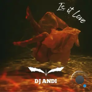 DJ Andi - Is it Love (2026)