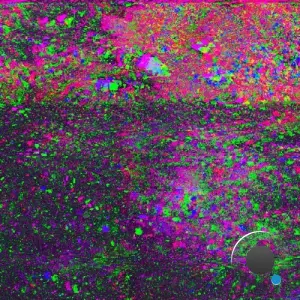 Residue - Residue & Dust (2026)