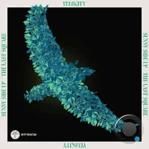Velocity - Sunny Side Up / The Last Square (2026)