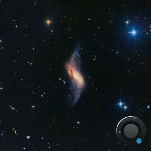 Whoismarce - Field of Perception (2026)