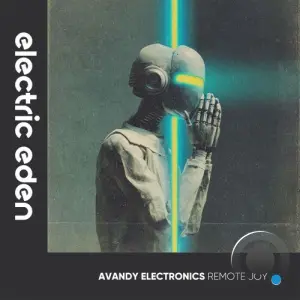 Avandy Electronics - Remote Joy (2026)