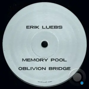 Erik Luebs - Reversing Time (2026)