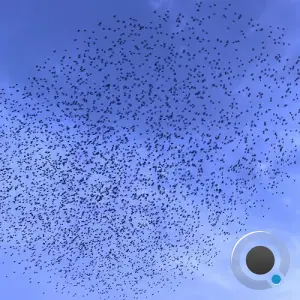 Paons - GetGetGet (2026)