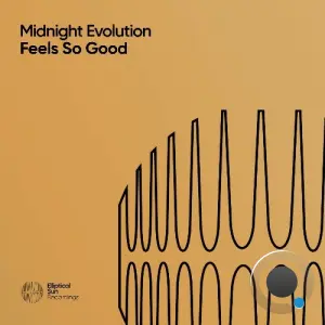 Midnight Evolution - Feels So Good (2026)
