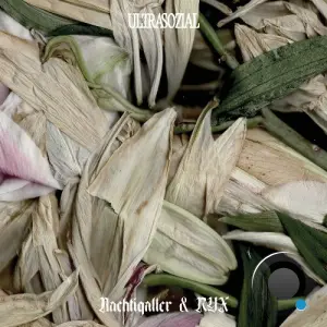 Nachtigaller & RYX - Crushed Memories (2026)