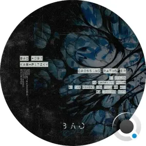 Kashpitzky - Crossing Paths (2026)