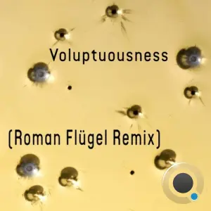 Pdqb - Voluptuousness (Roman Flügel Remix) (2026)