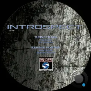 Drivetrain - Introspect (2026)