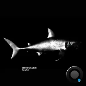 Microdancing - Shark (2026)