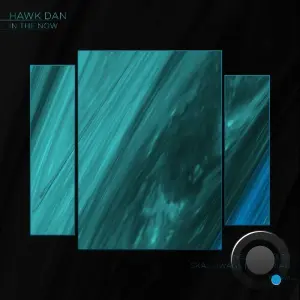Hawk Dan - In the Now (2026)