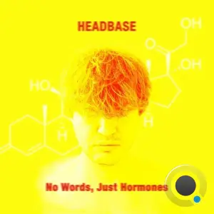 Headbase - No Words, Just Hormones (2026)