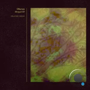 Olorun - Merged ID (2026)