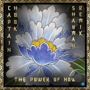 Captain Hook - The Power Of Now (Shayman Remix) (2026)