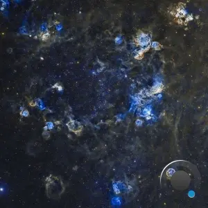 Pfirter - The Dub Track (2026) (2026)