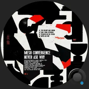 Mesh Convergence - Never Ask Why (2026)
