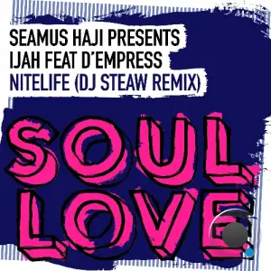 Seamus Haji - Nitelife (DJ Steaw Remix) (2026)