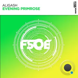 ALIGASH - Evening Primrose (2026)