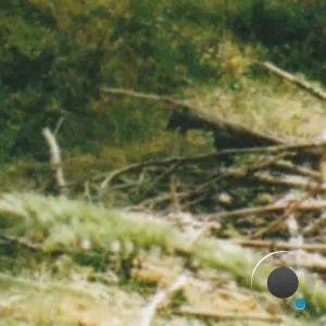 253 - Tucana (2026)