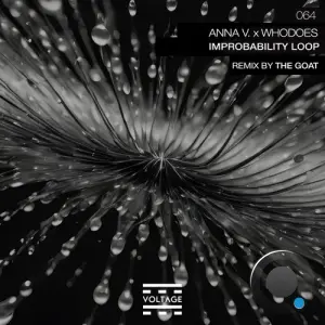 Anna V. & Whodoes - Improbability Loop (2026)
