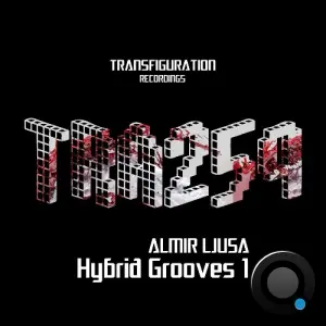 Almir Ljusa - Hybrid Grooves 1 (2026)